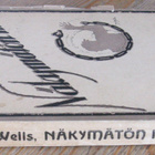 H. G. Wells: Näkymätön mies, Karisto 1922. 181 s. - pikkukuva 3