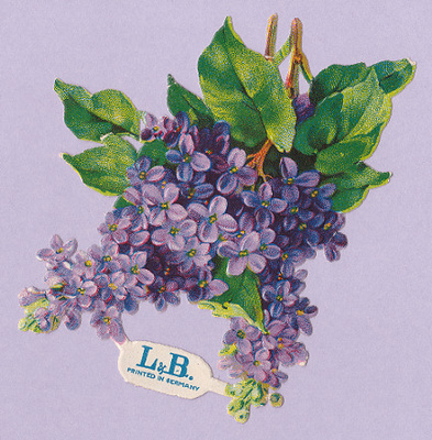 Vintage L & B Upea Syreeni