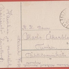 Lapsi ja kyyhkyt - kulk v 1924 - pikkukuva 2