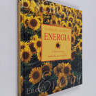 Cynthia Blanche : Energia : elinvoimaa keholle ja mielelle - pikkukuva 1