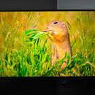 Samsung Odyssey G7 27" 4K UHD pelinäyttö - pikkukuva 4