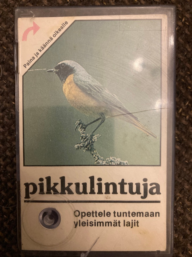 PIKKULINTUJA - OPETTELE TUNTEMAAN YLEISIMMÄT LAJIT