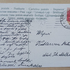 Pidä uskosi ja lupauksesi! Lemmikkikori, p. 1907 - pikkukuva 2
