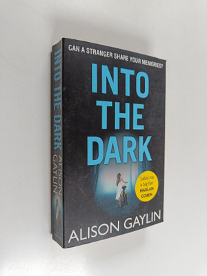 Alison Gaylin : Into the dark