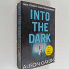 Alison Gaylin : Into the dark - pikkukuva 1