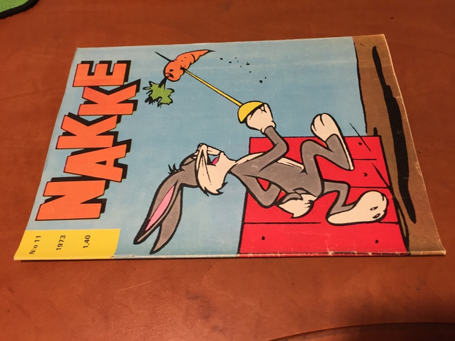 NAKKE LEHTI 11/1973 HYVÄ