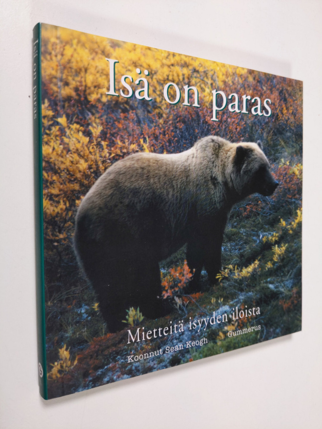Sean Keogh : Isä on paras : mietteitä isyyden iloista