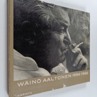 Matti (toim.) Aaltonen : Wäinö Aaltonen 1894-1966 : veist... - pikkukuva 1
