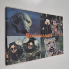 Korkeasaari - pikkukuva 1