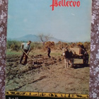 Pellervo No 10 kesäkuu 1962 - pikkukuva 1
