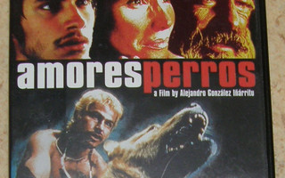 Amores Perros - DVD