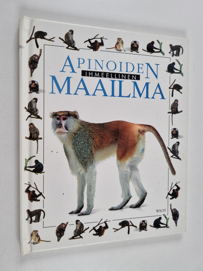 Scott Steedman : Apinoiden ihmeellinen maailma