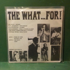 THE WHAT...FOR! - S/T EX+/EX+ GER -87 7" EP - pikkukuva 2