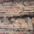 TARJA YLITALO - 3 kasettia Kerrasta poikki,Mitä vain vuokses - pikkukuva 3