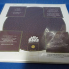 WIGWAM - LUCKY GOLDEN STRIPES AND STARPOSE EX+/M- 2LP - pikkukuva 2