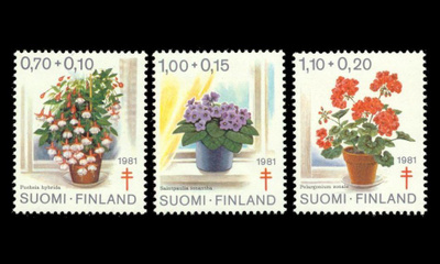 883-5 ** Tuberkuloosi ruukkukukkia (1981)