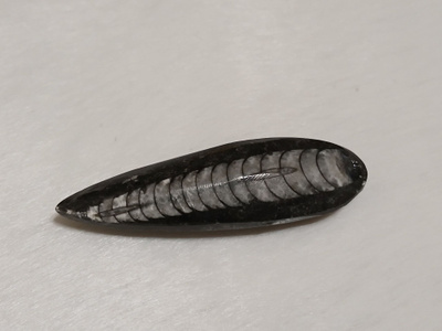 Luonnonkivi, Orthoceras-oikosarvifossiili
