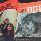 Suosikki 2/1970: Tasavallan Presidentti, Loiri, Hair, Huhta - pikkukuva 1