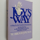 William Brugh Joy : Joy's Way - A Map for the Transformat... - pikkukuva 1