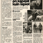 Apu n:o 28 1982 Paperinukke. Caroline. Diana. Nauvo. Savonli - pikkukuva 3