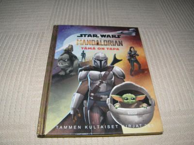 Star Wars The Mandalorian Tämä on tapa
