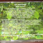 Eki Jantunen: Kesä kaunein cd - pikkukuva 2