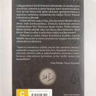 Paul Auster : Illuusioiden kirja - pikkukuva 2
