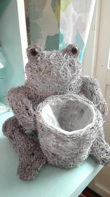 SULOINEN SAMMAKKO KUKKAPURKKI