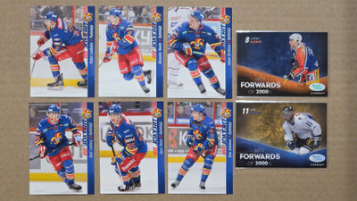 2012-13 Cardset SM-Liiga (Series 2)