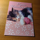 KISSA JA KERÄ - pikkukuva 1