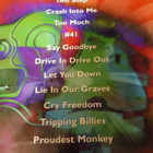 DAVE MATTHEWS BAND CRASH KITARA NUOTTIKIRJA - pikkukuva 2