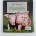 Maatilan pienokaisia - pikkukuva 2