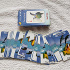 Red sea  playing cards Pelikortit - pikkukuva 2