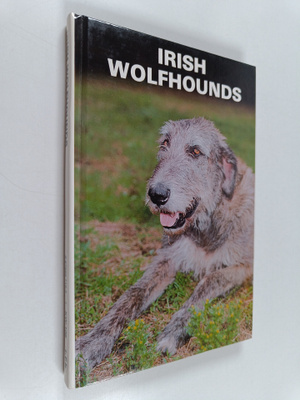 Beverly Pisano : Irish Wolfhounds