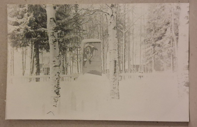 Lapinlahti: 1928 Sankaripatsas *** (165)