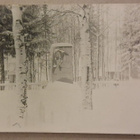 Lapinlahti: 1928 Sankaripatsas *** (165) - pikkukuva 1