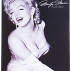 METALLIKYLTTI MARILYN MONROE  30 X 40CM	(45 031)	(met-220) - pikkukuva 1
