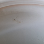 Arabia Platina tarjoilulautanen 30 cm - pikkukuva 5