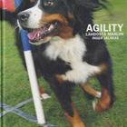 Inger Jalakas: Agility lähdöstä maaliin - pikkukuva 1