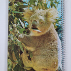 The garrick australian picture book - pikkukuva 2