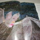 Eric Carle Kaiken maailman eläimiä - pikkukuva 3