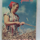Pellervo N:o 12-13 elokuu 13.8. 1960 - pikkukuva 1