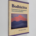Losang Gyatso : Bodhicitta - Cultivating the Compassionat... - pikkukuva 1
