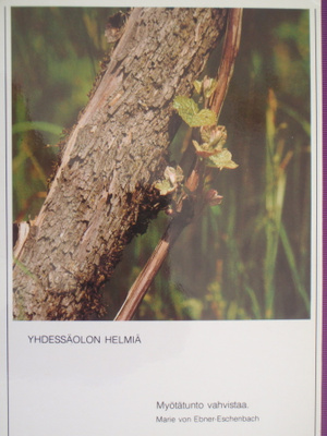 Aforismikortti yhdessäolon helmiä
