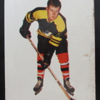 Bertel Kristen Reipas Champion 1966 - pikkukuva 1