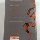 Sarah J. Maas : A court of silver flames - pikkukuva 2