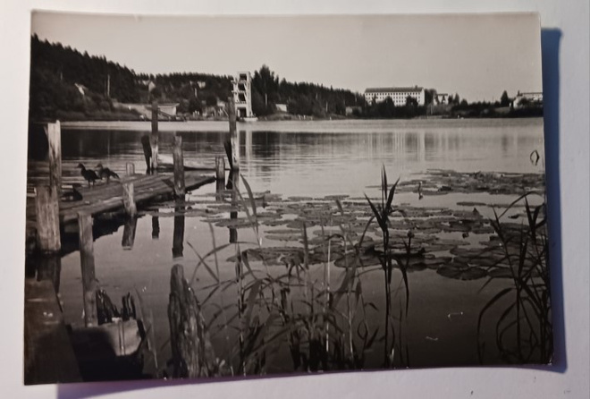 Lammi, Ammattikoulu, Uimala, Järvisen laituri, ei p.