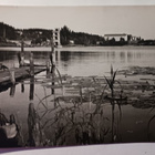 Lammi, Ammattikoulu, Uimala, Järvisen laituri, ei p. - pikkukuva 1