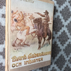 Henty: Bland guldgrävare och indianer (1923) - pikkukuva 1