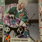 1993-94 Leaf SISU keräilykortit alk.0,5e - pikkukuva 4